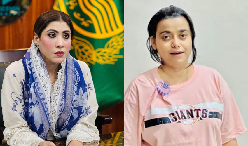 Hina Parvez Butt criticises drama on Anmol Pinky