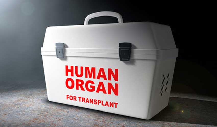 Court grants FIA four day remand of organ trafficking suspects