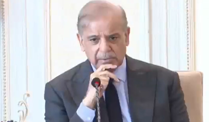 PM Shehbaz announces 100MW solar project for Gilgit Baltistan