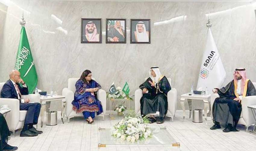 Pakistan, Saudi Arabia agree to lasting partnership in AI