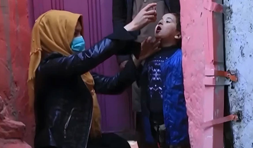 Pakistan completes second polio campaign 2026 – Samaa TV  Samaa TV
