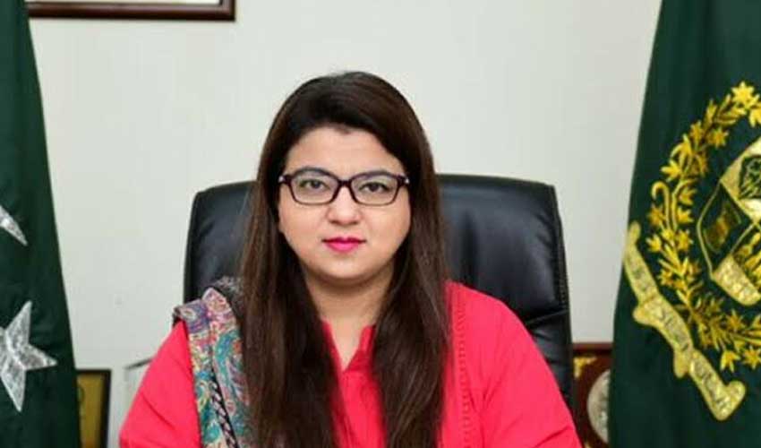 Govt orders immediate launch of modern IT courses nationwide
