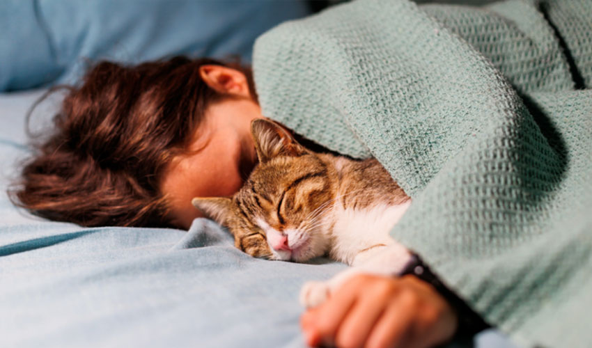 Sleeping with dogs, cats may harm sleep quality: Study