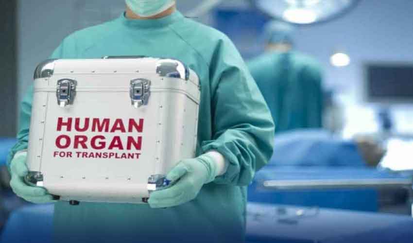 FIA arrests five suspects in Islamabad organ smuggling raid
