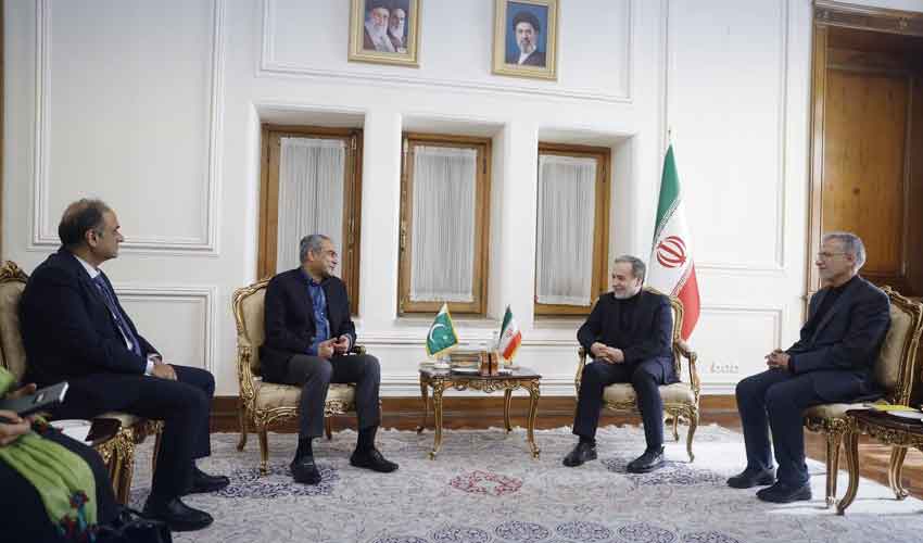 Naqvi meets Araghchi, Irani counterpart in Tehran