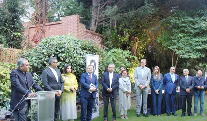 Cricket and diplomacy: Pakistan House London hosts dinner for national team