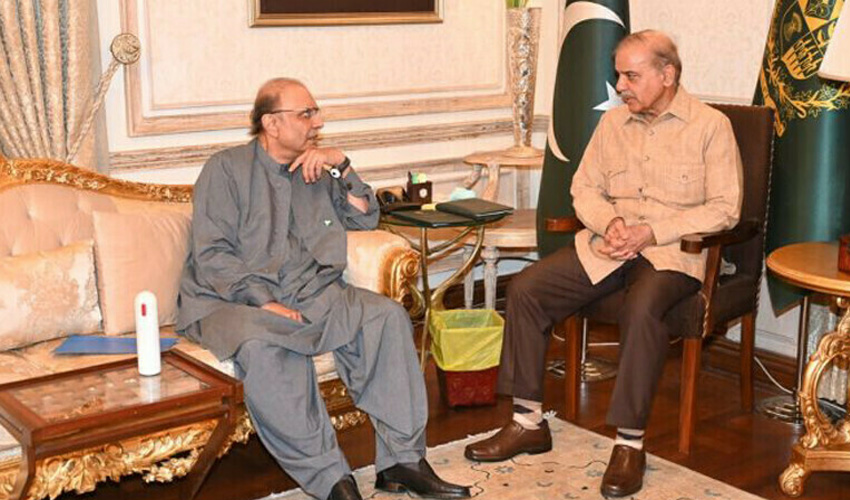 PM Shehbaz, President Zardari discuss budget relief proposals