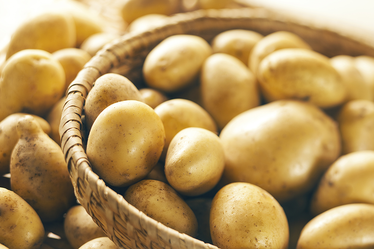 Pakistan becomes member of top global potato growers club