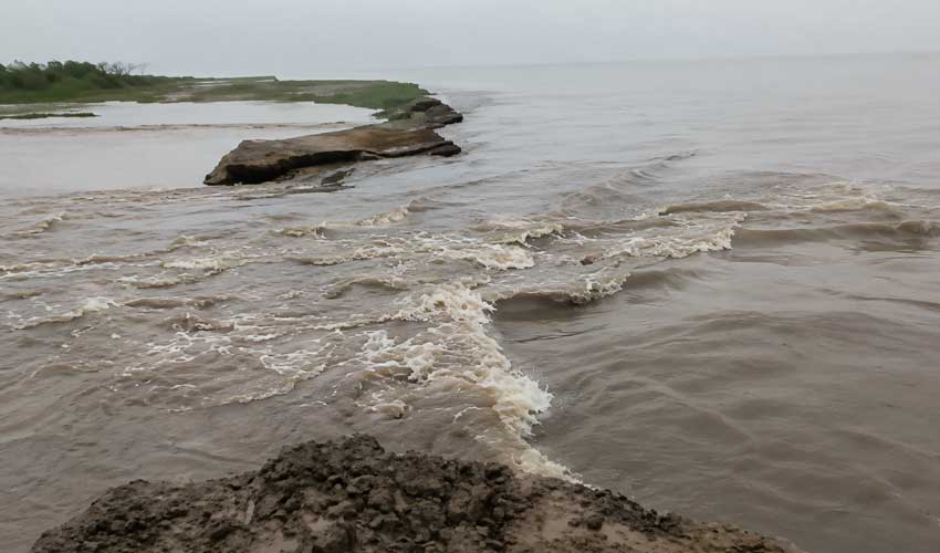 Punjab flood alert: Rising water levels displace families